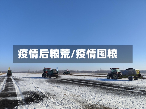 疫情后粮荒/疫情囤粮-第1张图片