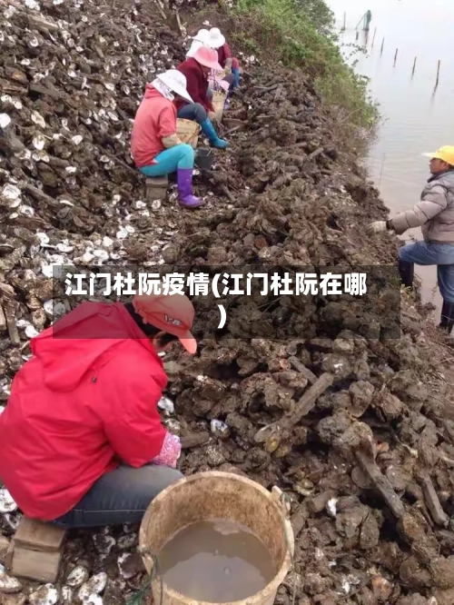 江门杜阮疫情(江门杜阮在哪)-第1张图片