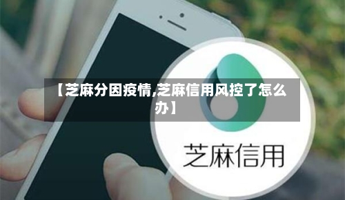 【芝麻分因疫情,芝麻信用风控了怎么办】-第3张图片