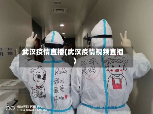 武汉疫情直播(武汉疫情视频直播)-第3张图片