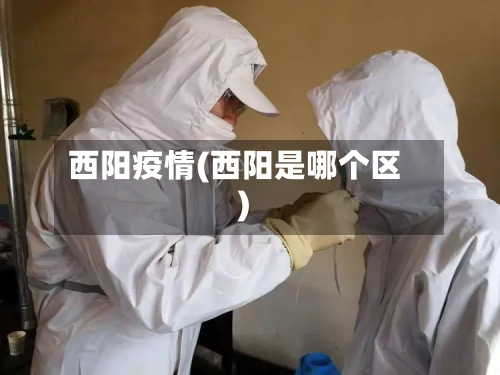 西阳疫情(西阳是哪个区)-第3张图片