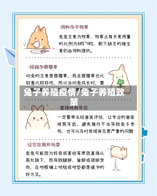 兔子养殖疫情/兔子养殖政策-第3张图片