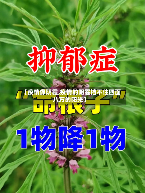 【疫情像阴霾,疫情的阴霾挡不住四面八方的阳光】-第1张图片