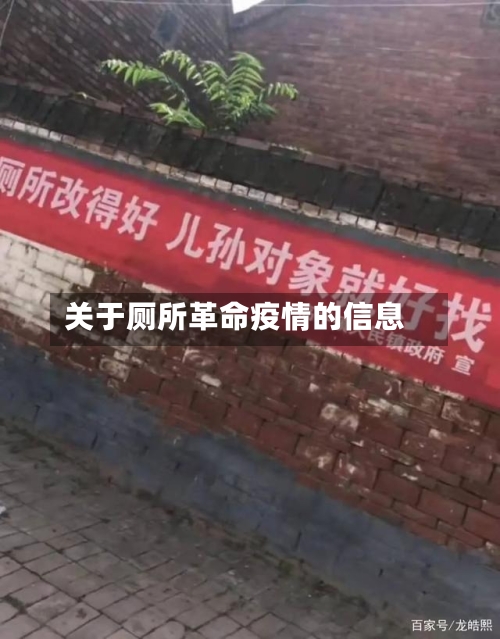 关于厕所革命疫情的信息-第3张图片