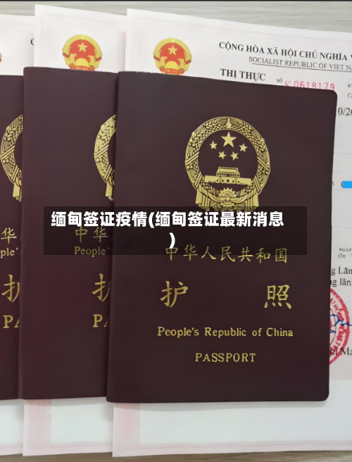 缅甸签证疫情(缅甸签证最新消息)-第3张图片