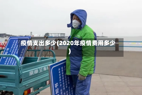 疫情支出多少(2020年疫情费用多少)-第2张图片
