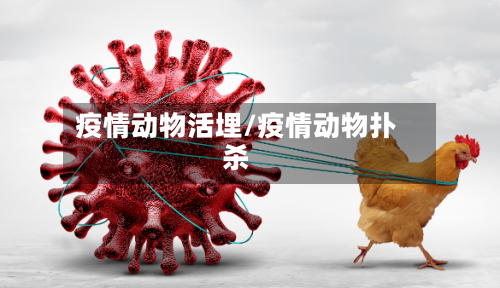 疫情动物活埋/疫情动物扑杀-第2张图片