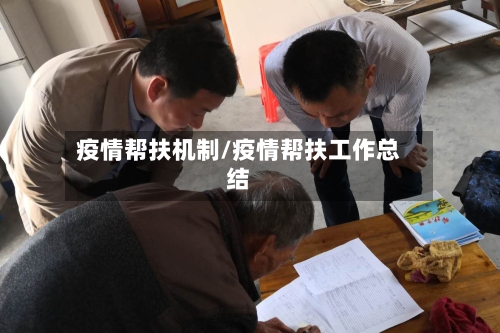 疫情帮扶机制/疫情帮扶工作总结-第2张图片