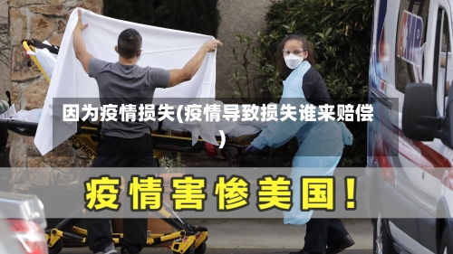 因为疫情损失(疫情导致损失谁来赔偿)-第1张图片