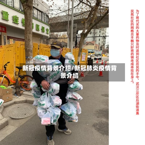 新冠疫情背景介绍/新冠肺炎疫情背景介绍-第2张图片