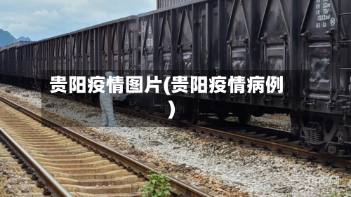 贵阳疫情图片(贵阳疫情病例)-第3张图片