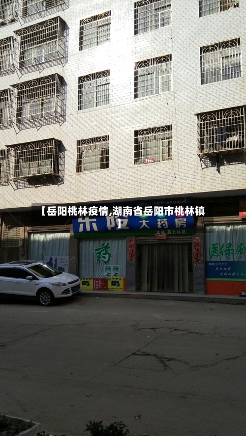 【岳阳桃林疫情,湖南省岳阳市桃林镇】-第1张图片