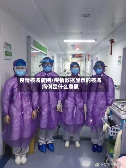 疫情核减病例/疫情数据显示的核减病例是什么意思-第3张图片
