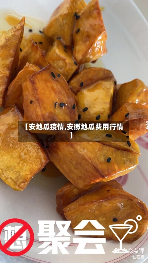 【安地瓜疫情,安徽地瓜费用行情】-第2张图片