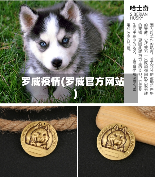 罗威疫情(罗威官方网站)-第1张图片