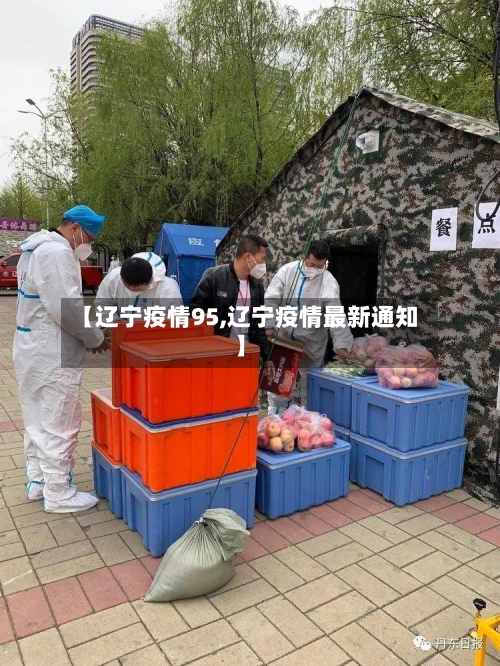 【辽宁疫情95,辽宁疫情最新通知】-第2张图片