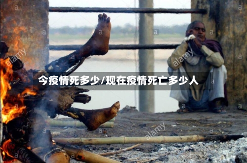 今疫情死多少/现在疫情死亡多少人-第2张图片