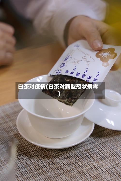 白茶对疫情(白茶对新型冠状病毒)-第3张图片