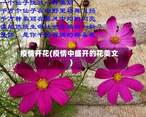疫情开花(疫情中盛开的花美文)-第1张图片