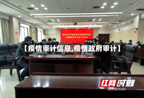 【疫情审计信息,疫情政府审计】-第1张图片