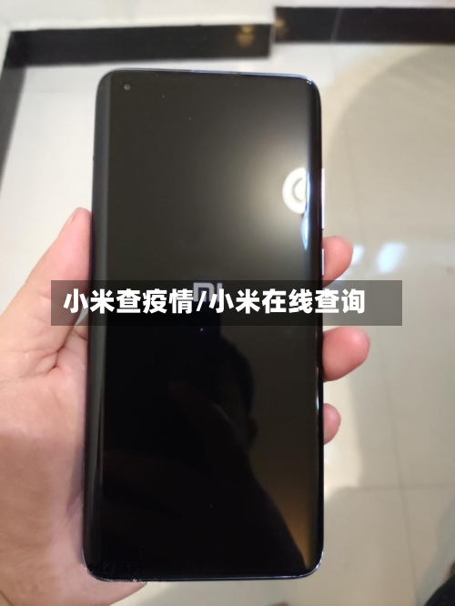 小米查疫情/小米在线查询-第1张图片