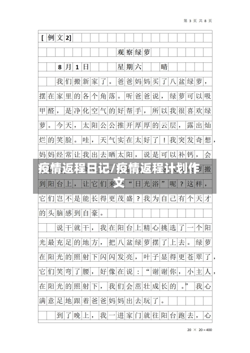 疫情返程日记/疫情返程计划作文-第2张图片