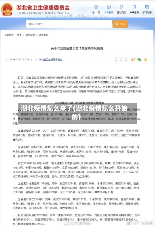 湖北疫情怎么来了(湖北疫情怎么开始的)-第3张图片