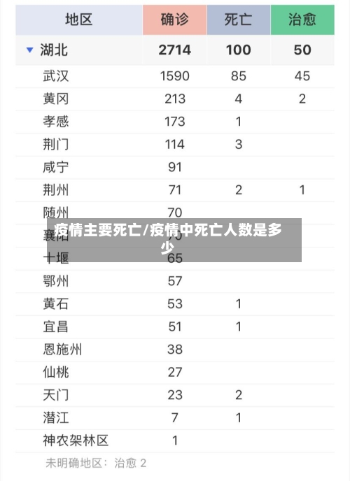 疫情主要死亡/疫情中死亡人数是多少-第1张图片