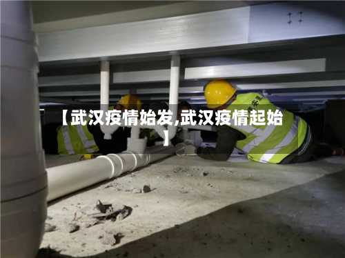 【武汉疫情始发,武汉疫情起始】-第1张图片