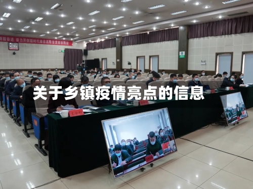 关于乡镇疫情亮点的信息-第1张图片