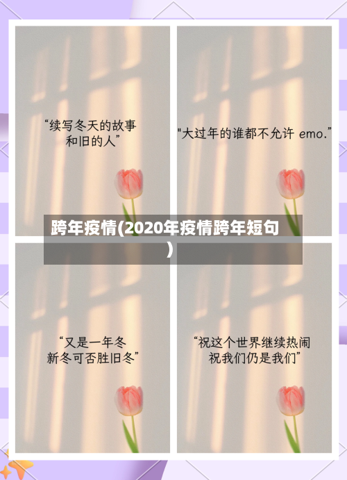 跨年疫情(2020年疫情跨年短句)-第1张图片