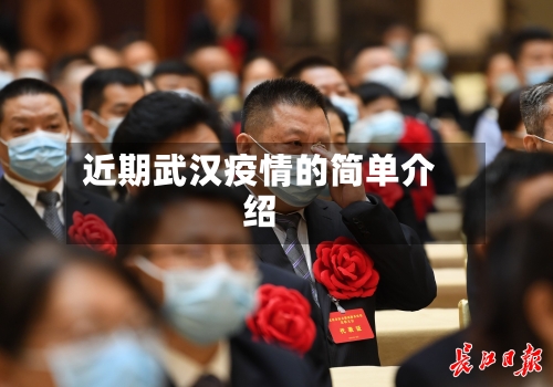 近期武汉疫情的简单介绍-第1张图片