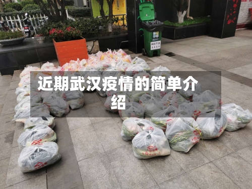 近期武汉疫情的简单介绍-第2张图片