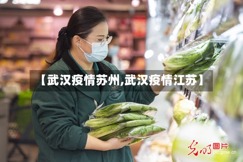 【武汉疫情苏州,武汉疫情江苏】-第3张图片