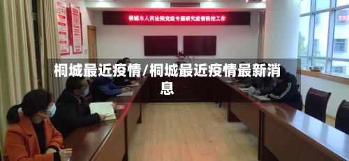 桐城最近疫情/桐城最近疫情最新消息-第3张图片